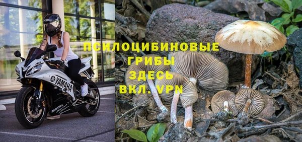 трава Тихвин