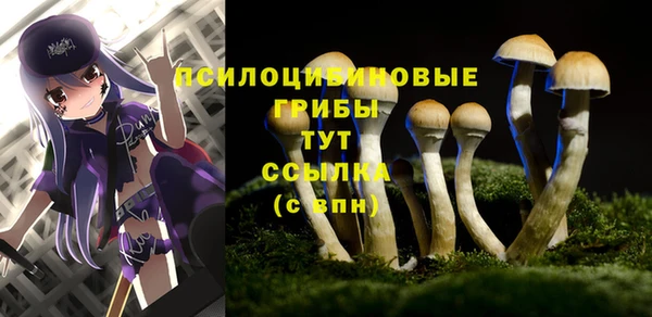 соль курить ск Гусь-Хрустальный