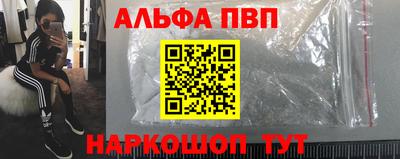 амф Гай