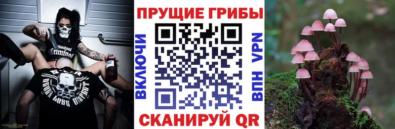 Псилоцибиновые грибы прущие грибы Междуреченск