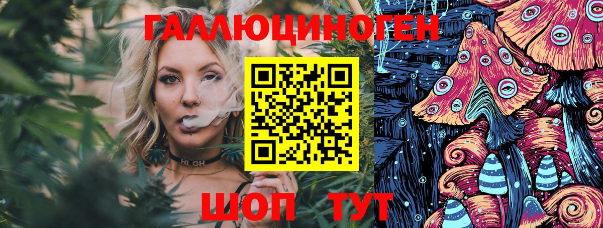 Псилоцибиновые грибы Psilocybe Междуреченск