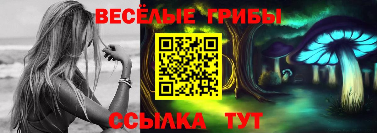 Псилоцибиновые грибы GOLDEN TEACHER  Галлюциногенные грибы Psilocybe  Междуреченск 