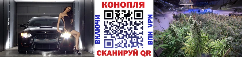 Бошки Шишки VHQ  Междуреченск 